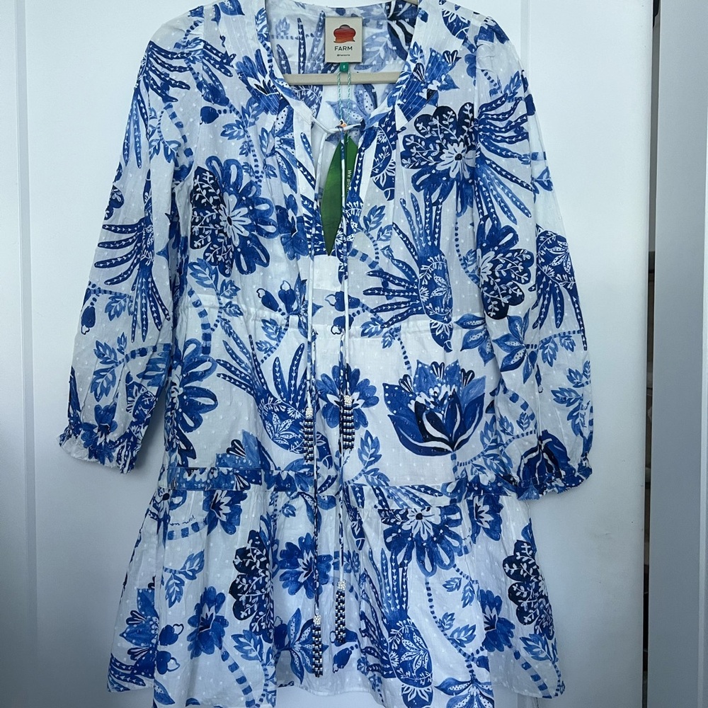 Farm Rio Blue and White Floral mini dress